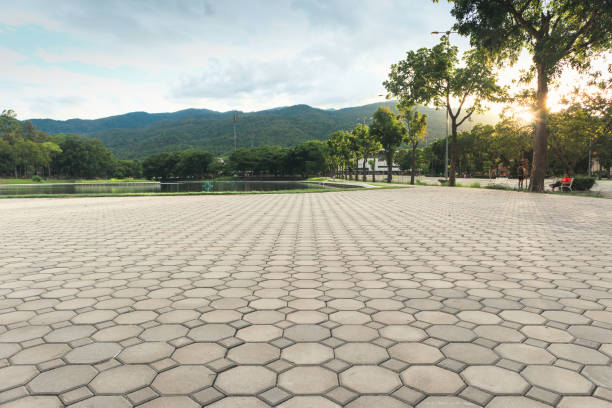 Best Brick Driveway Pavers  in Sumas, WA
